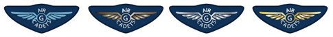 PTS Gliding Badges